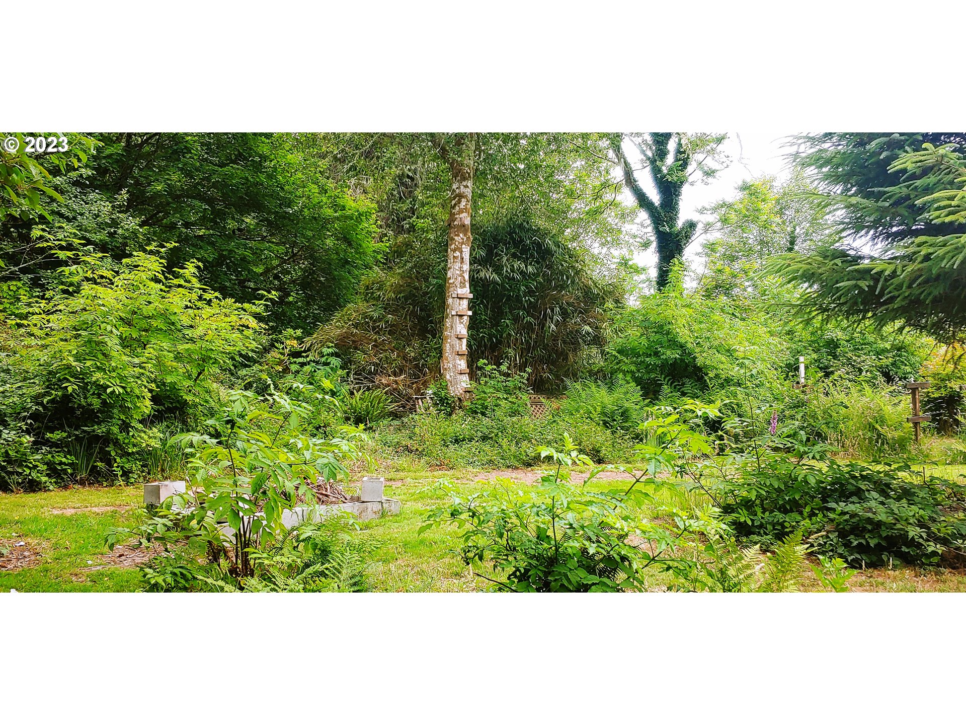 3314 Joe Johns Road Ocean Park, WA 98640 - Photo 23 of 28