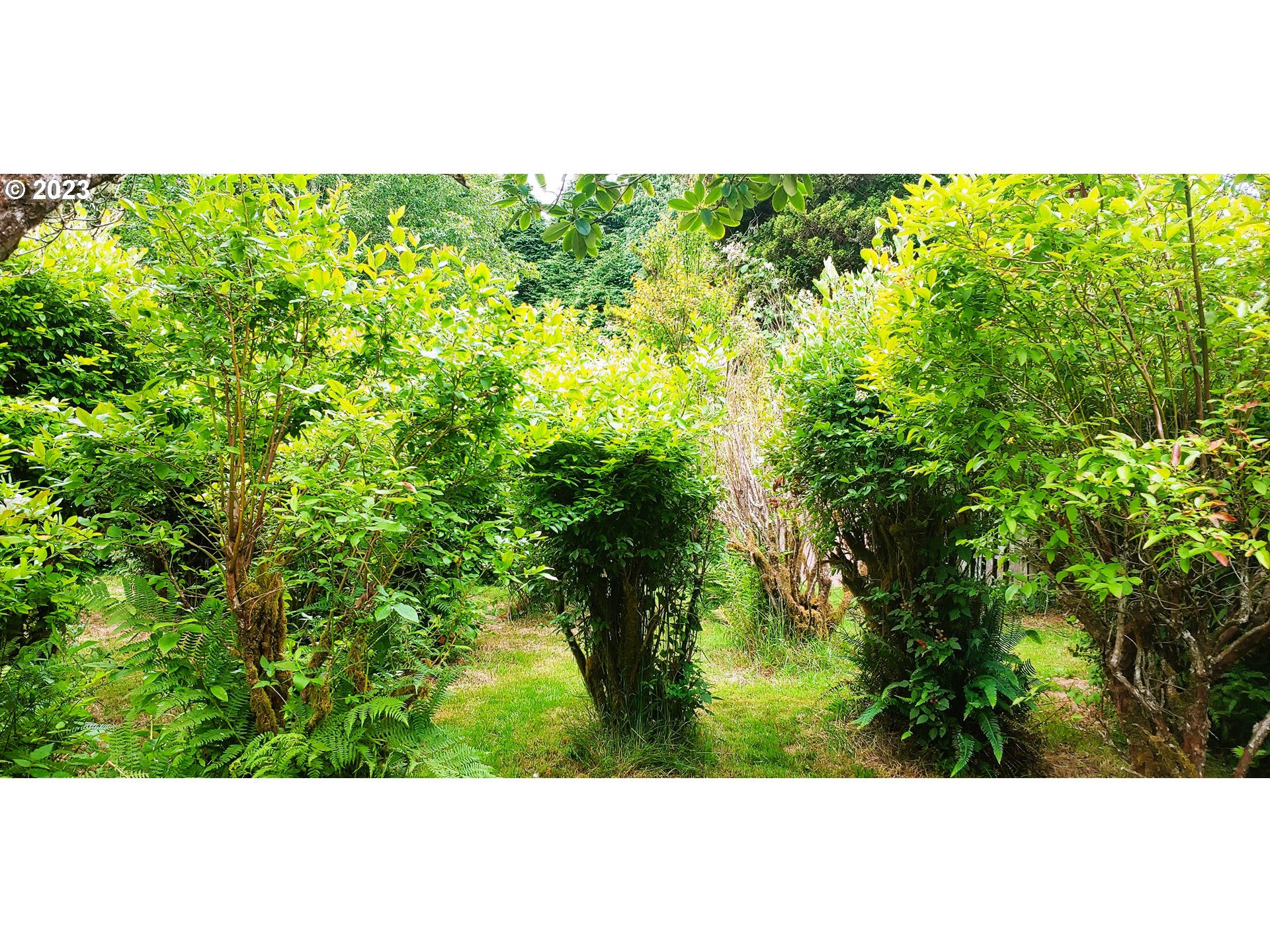 3314 Joe Johns Road Ocean Park, WA 98640 - Photo 27 of 28