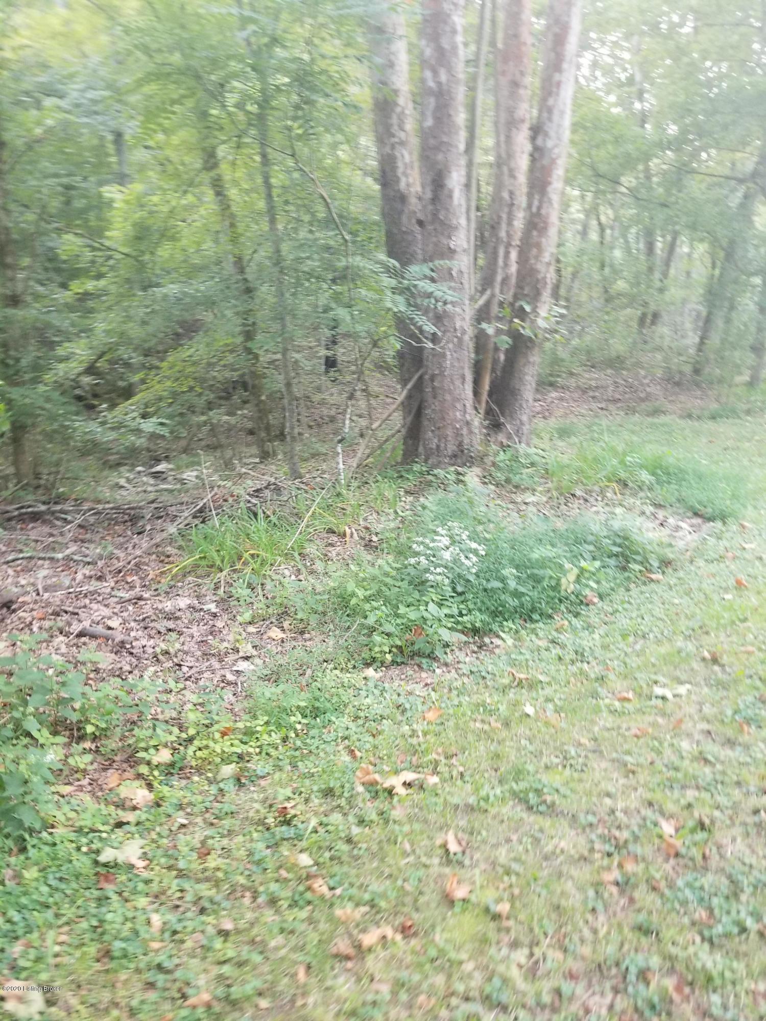 1761 Woodrow Wilson Road Carrollton, KY 41008 - Photo 22 of 26 20200910_180800