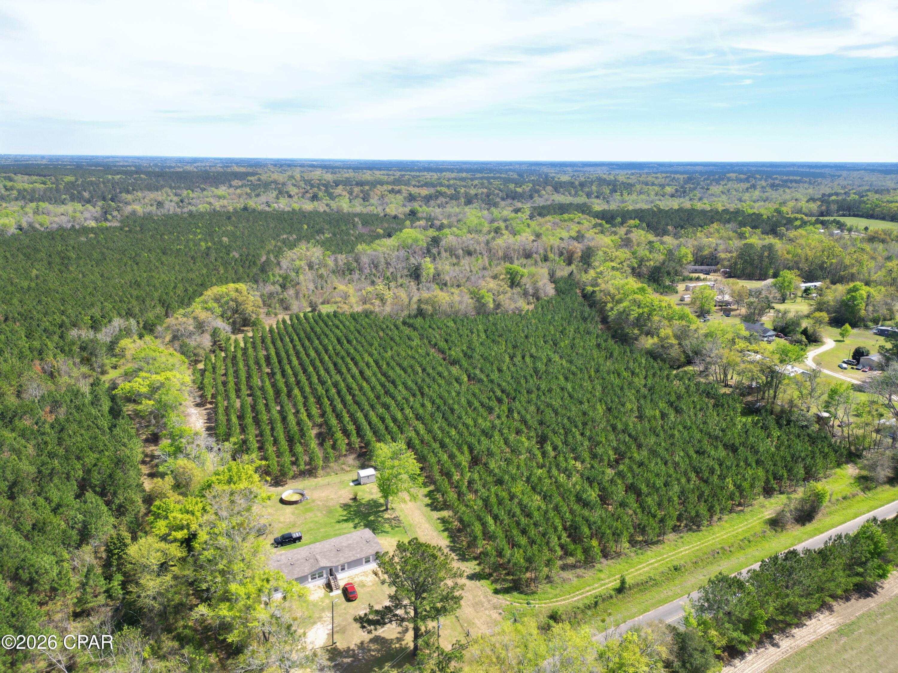 409 Thigpen Road Quincy, FL 32351 - Photo 9 of 9 Gallery Image 9