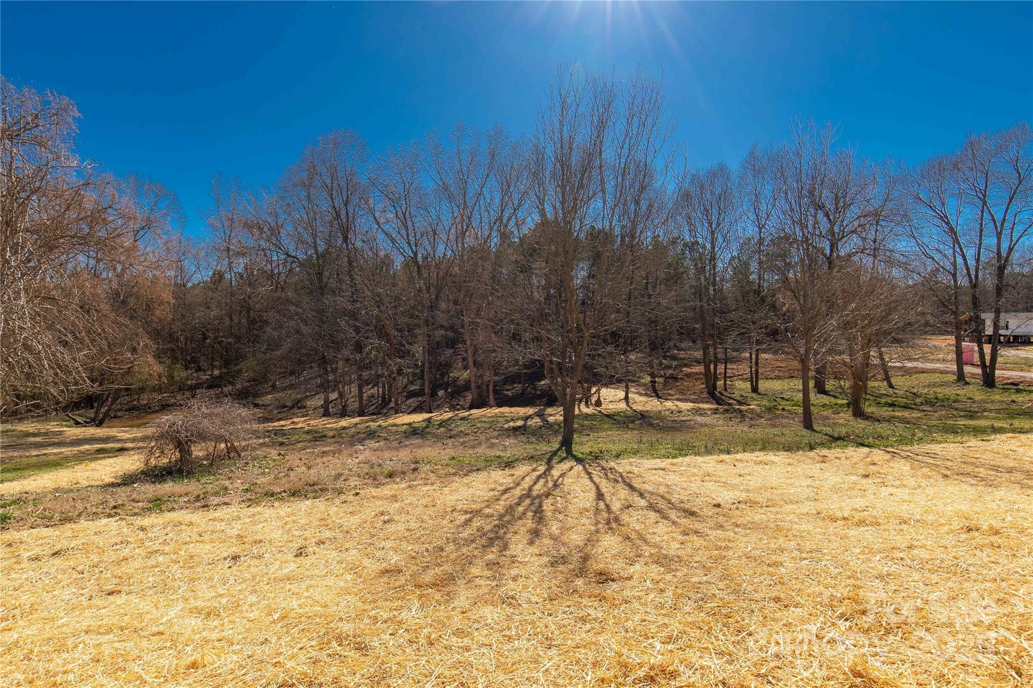 2005 Sugar Hill Road York, SC 29745 - Photo 24 of 32 a view of yard with trees