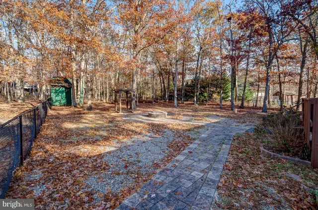 a view of road with trees