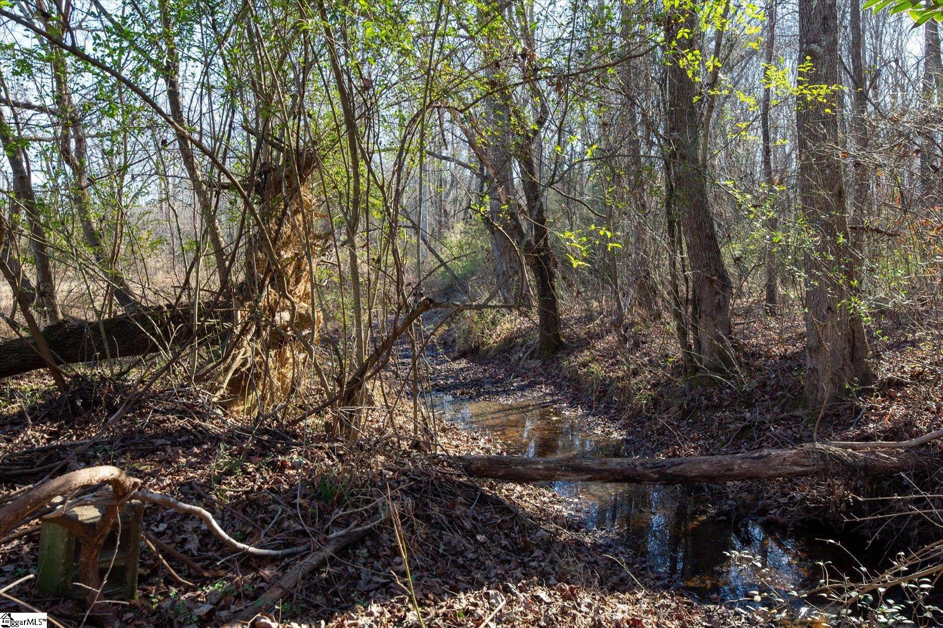 581 Flynn Road Greer, SC 29651 - Photo 25 of 25