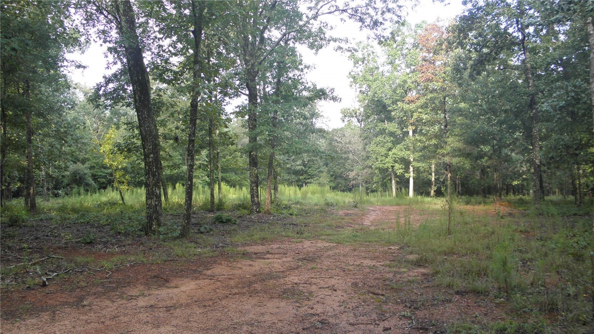 25-ac Jim Smith Road Pendleton, SC 29670 - Photo 2 of 9