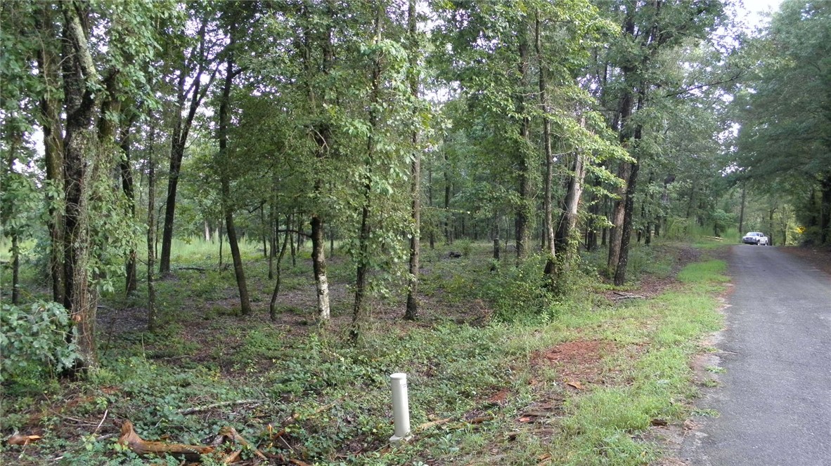 25-ac Jim Smith Road Pendleton, SC 29670 - Photo 3 of 9