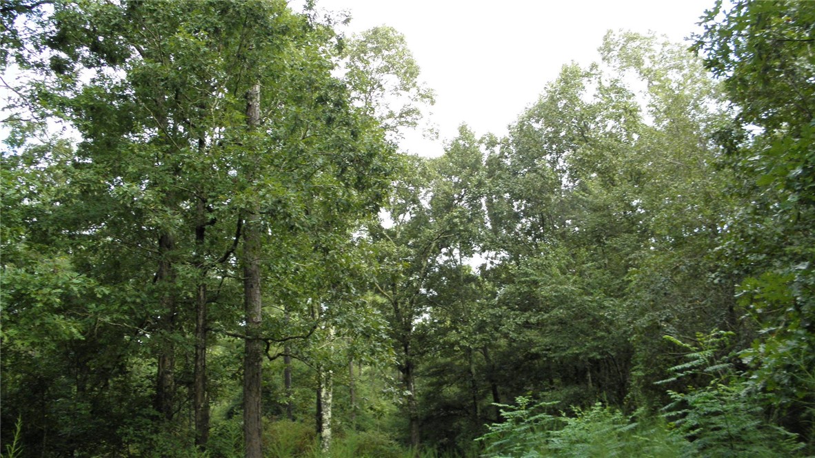 25-ac Jim Smith Road Pendleton, SC 29670 - Photo 7 of 9