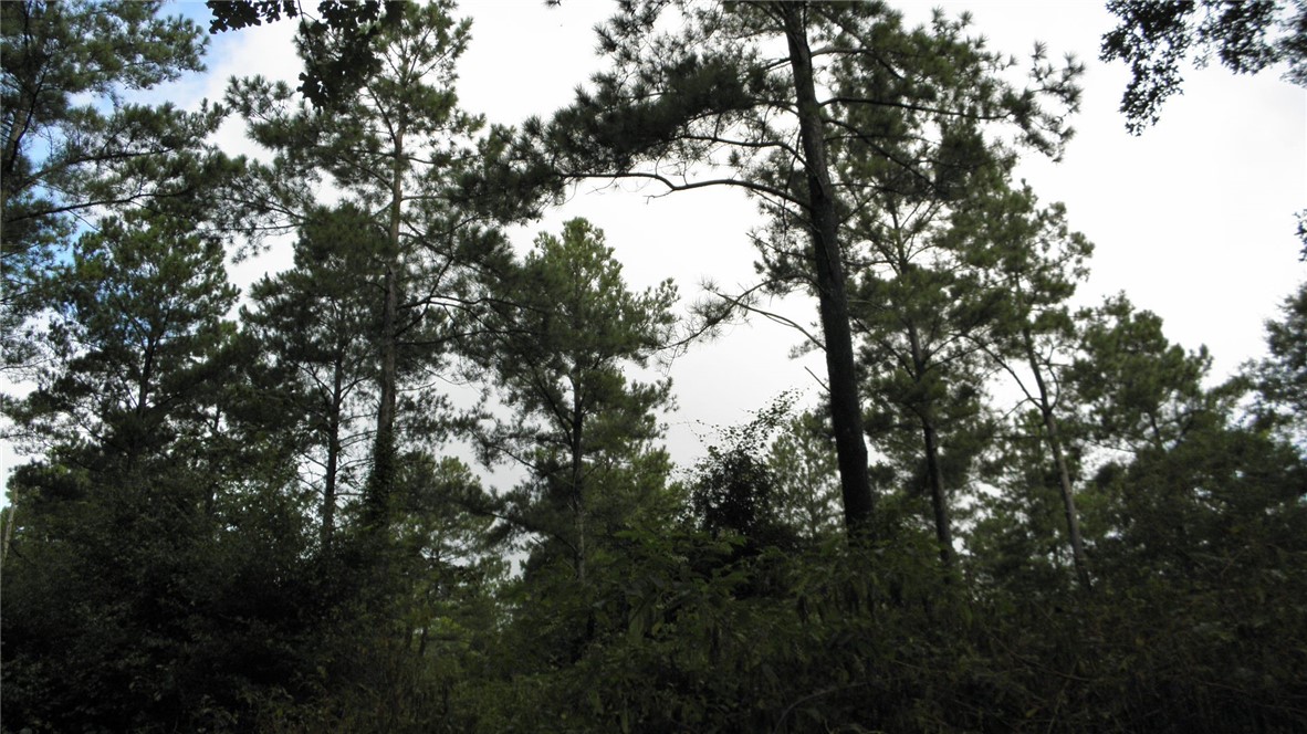 25-ac Jim Smith Road Pendleton, SC 29670 - Photo 8 of 9