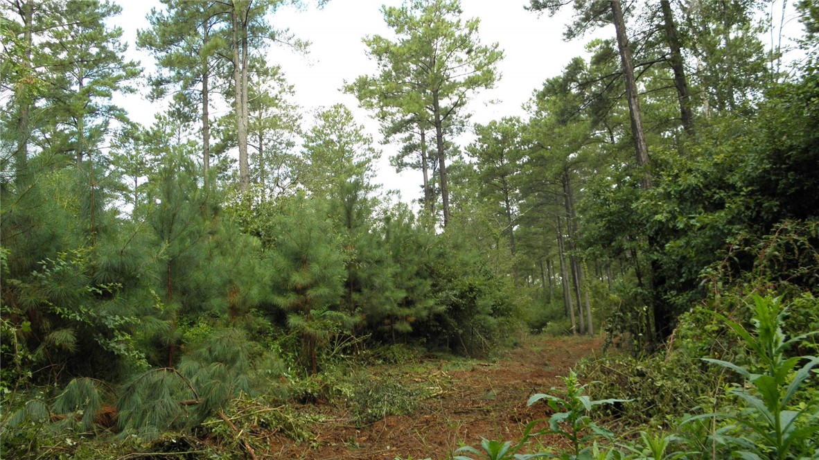 25-ac Jim Smith Road Pendleton, SC 29670 - Photo 9 of 9