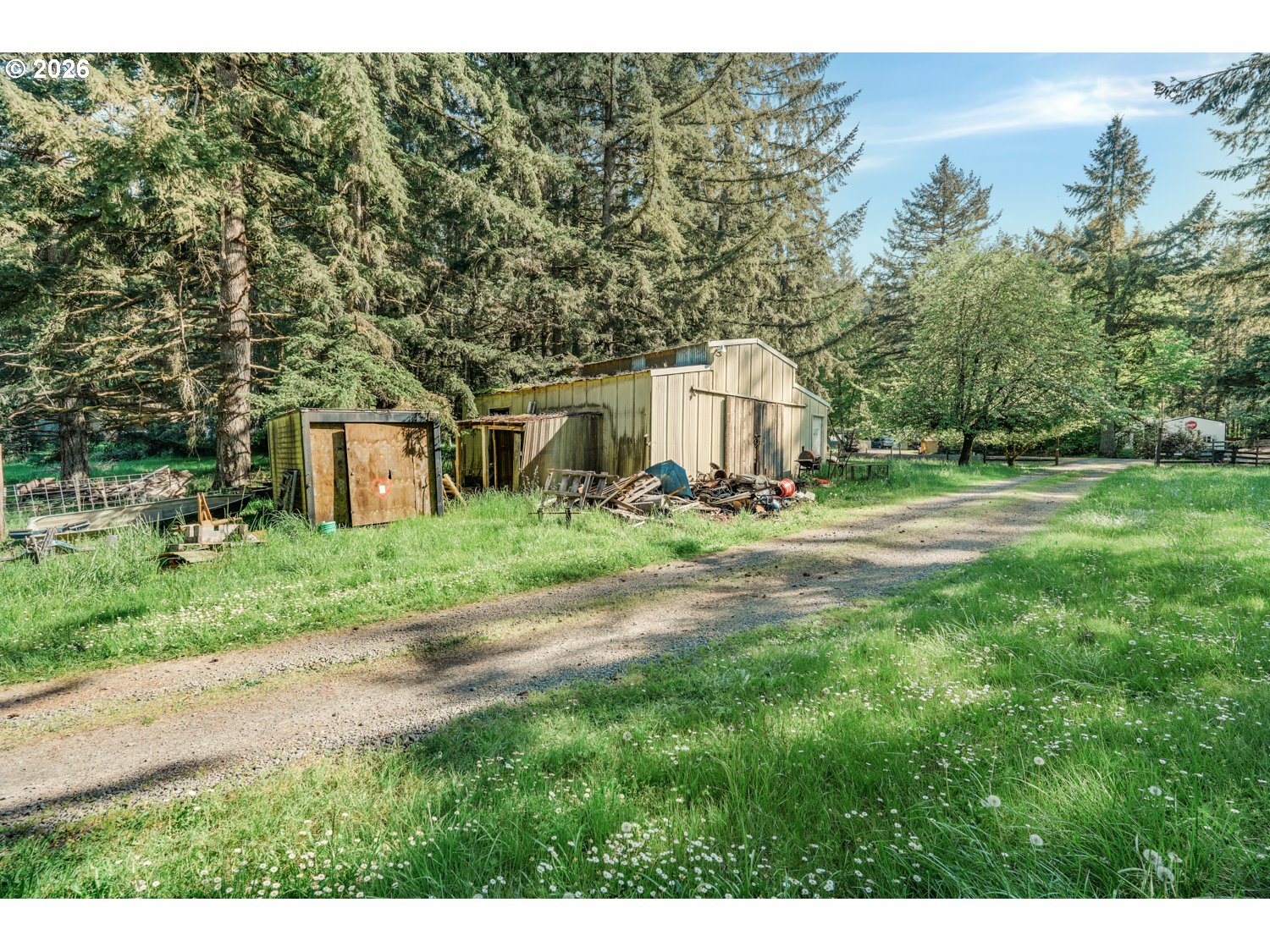 43288 Rodgers Mountain Loop Scio, OR 97374 - Photo 25 of 34