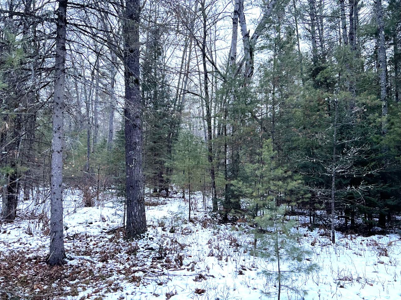 2725 Dam Road Eagle River, WI 54521 - Photo 15 of 16 Gallery Image 15