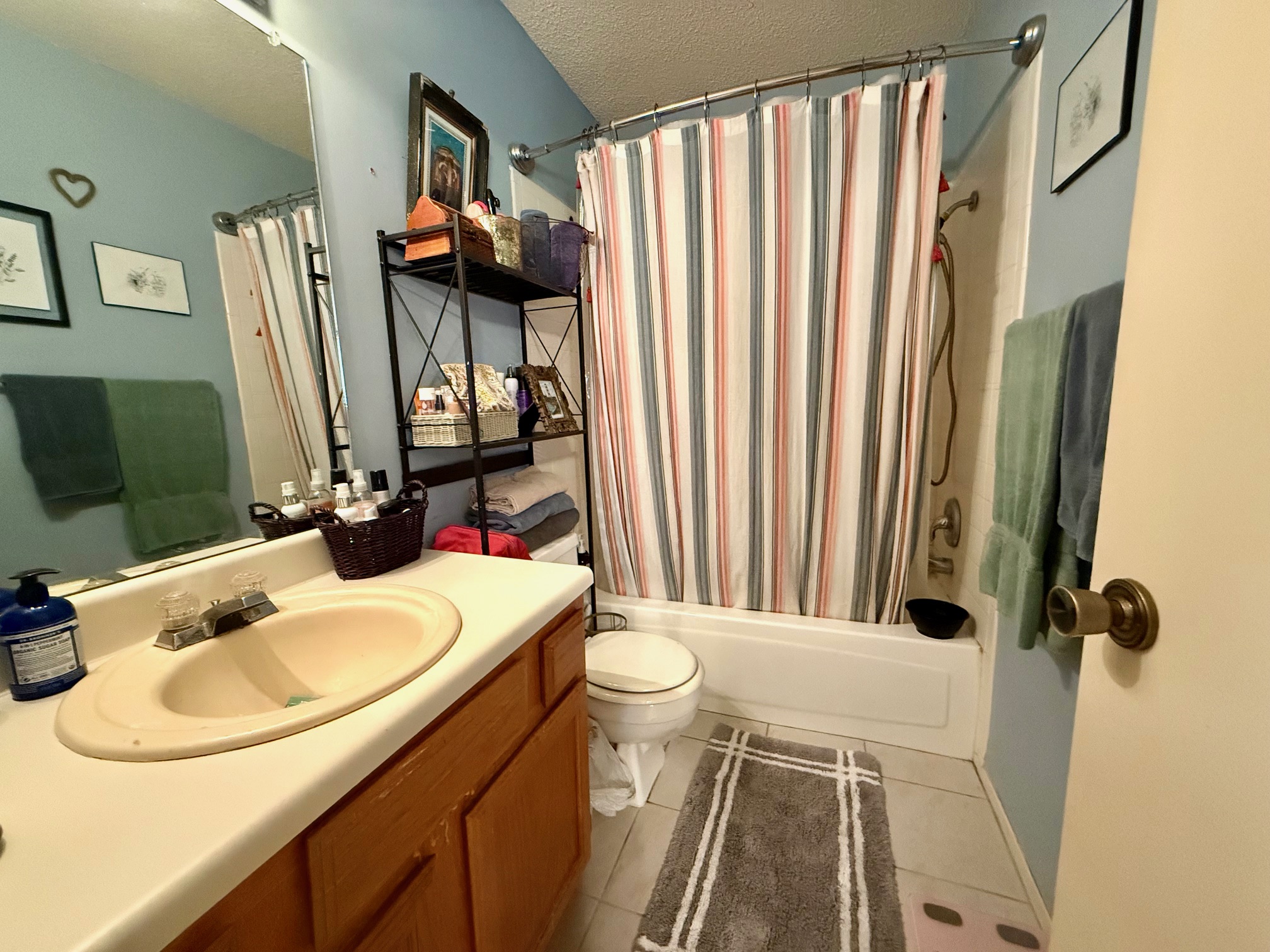 16704 Whitebrush Loop Austin, TX 78717 - Photo 12 of 20 a bathroom with a sink toilet and mirror
