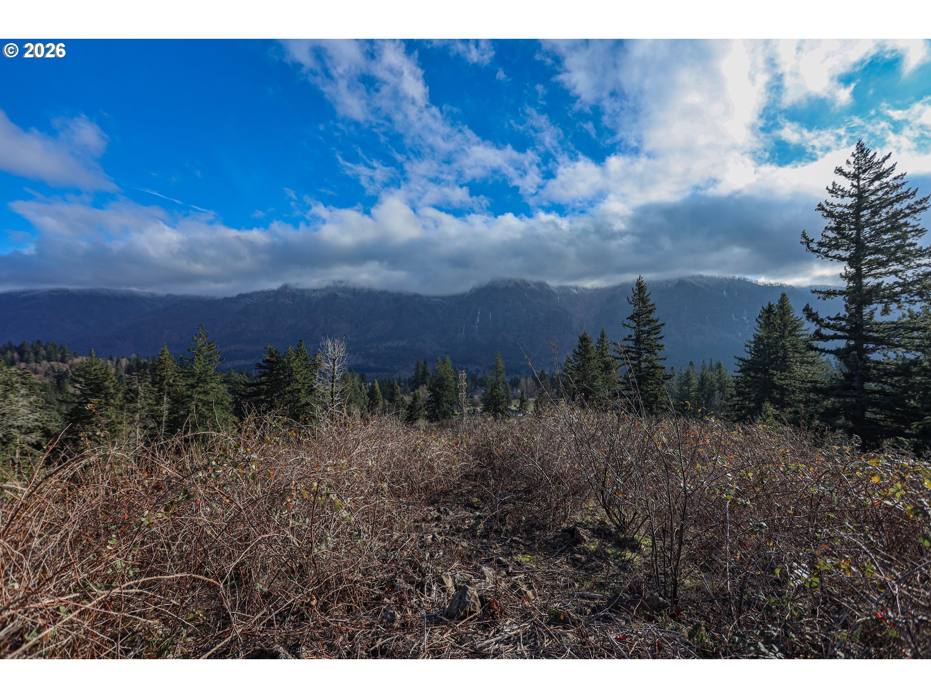 562 Woodard Creek Road Stevenson, WA 98648 - Photo 30 of 33