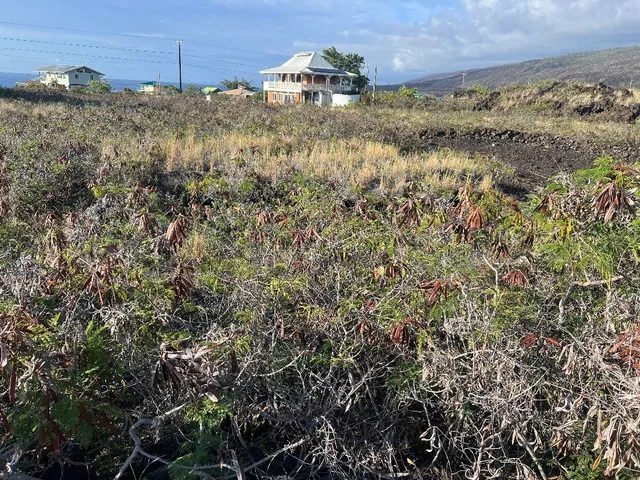 a view of a dry yard with wooden fence