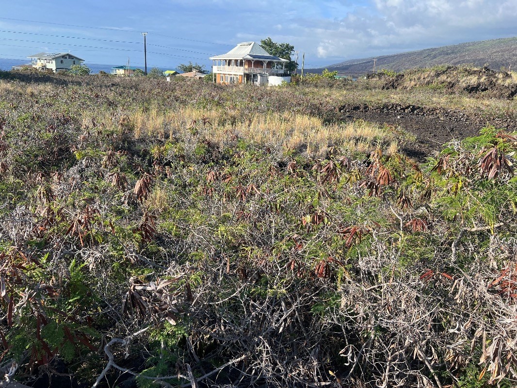 33 Aoao Avenue Captain Cook, HI 96704 - Photo 6 of 6 a view of a dry yard with wooden fence
