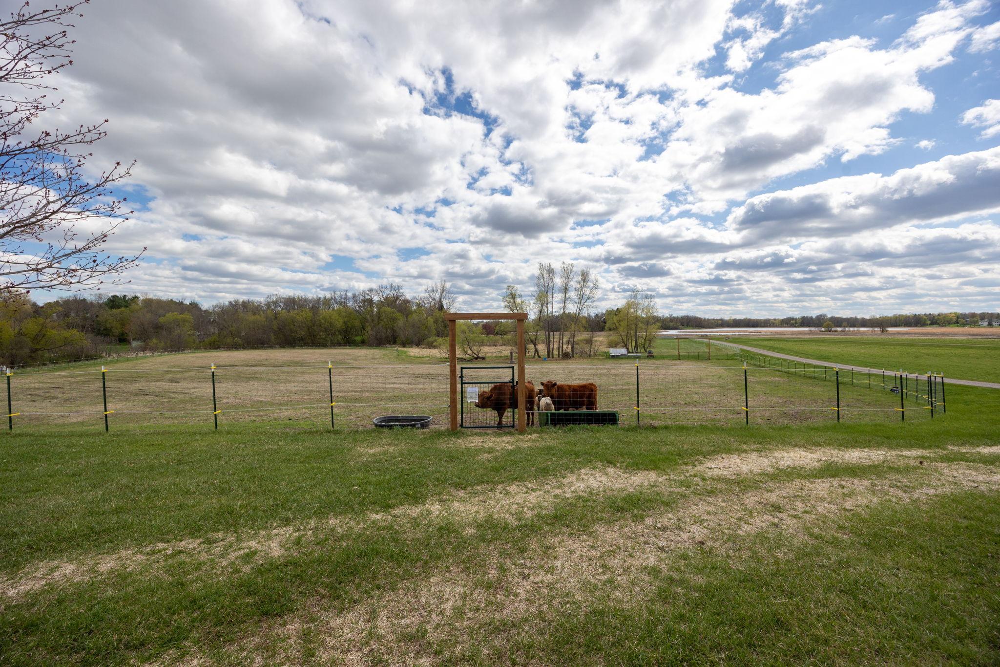 25250 Tucker Road Rogers, MN 55374 - Photo 53 of 54