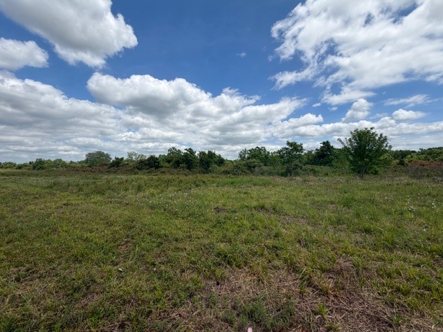 1711 County Road 773 Angleton, TX 77515 - Photo 1 of 7
