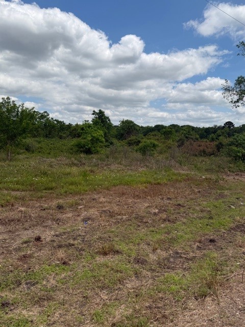 1711 County Road 773 Angleton, TX 77515 - Photo 2 of 7