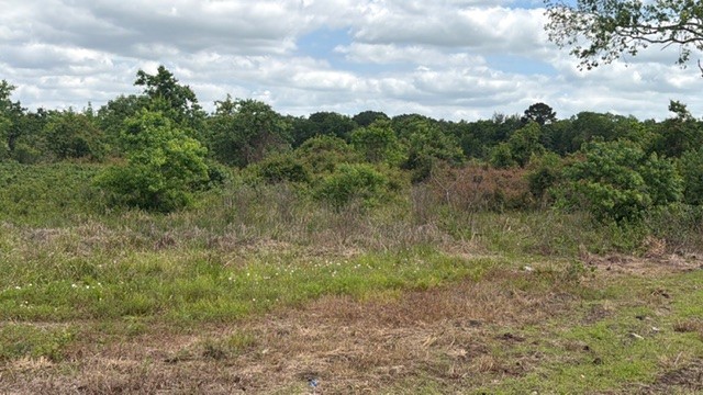 1711 County Road 773 Angleton, TX 77515 - Photo 3 of 7 a view of a big yard with lots of green space