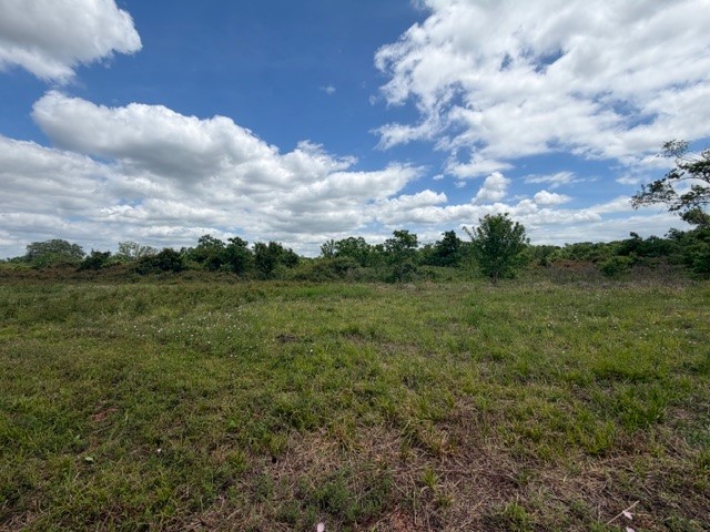 1711 County Road 773 Angleton, TX 77515 - Photo 5 of 7 a view of a green field