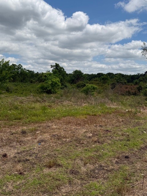 1711 County Road 773 Angleton, TX 77515 - Photo 7 of 7 a view of a field with an ocean