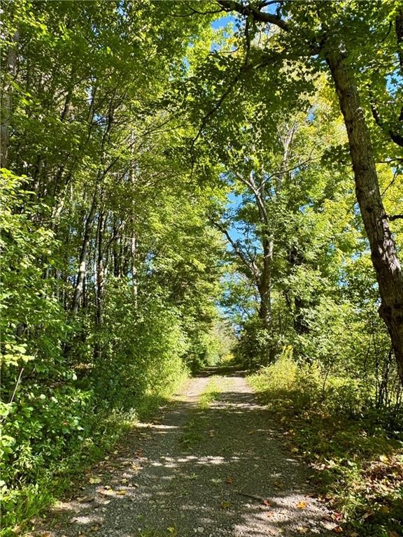 175 Hovick Road Burlington, NY 13348 - Photo 16 of 46 Gallery Image 16