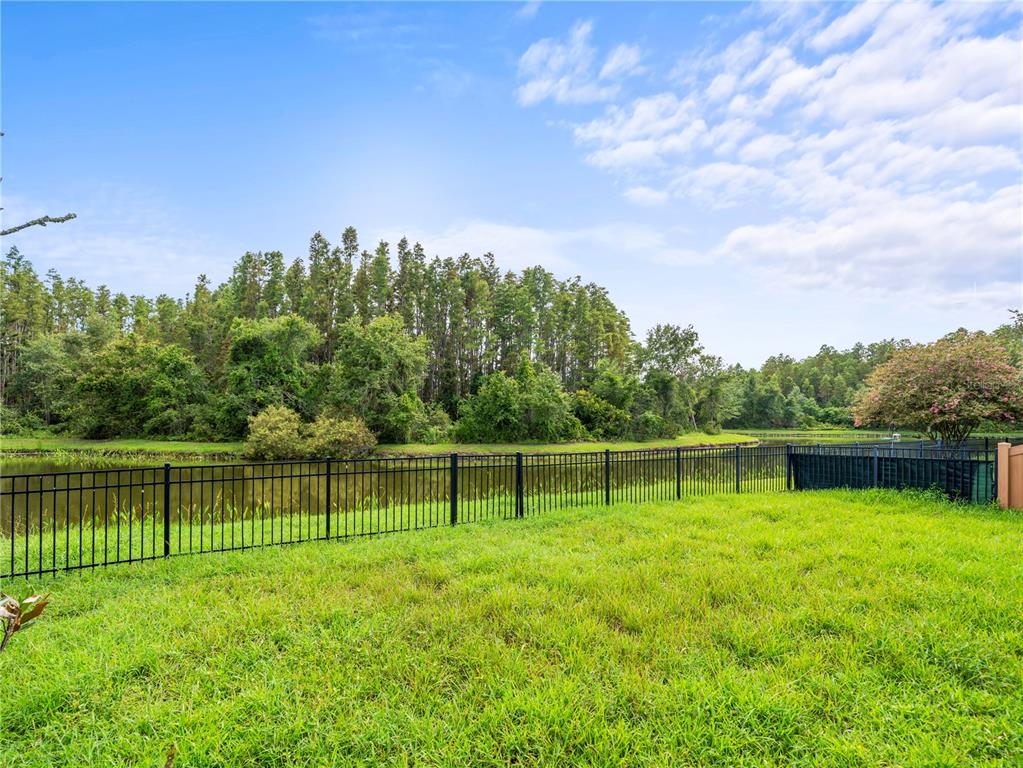 30638 Nickerson Loop Wesley Chapel, FL 33543 - Photo 31 of 39 a view of a park