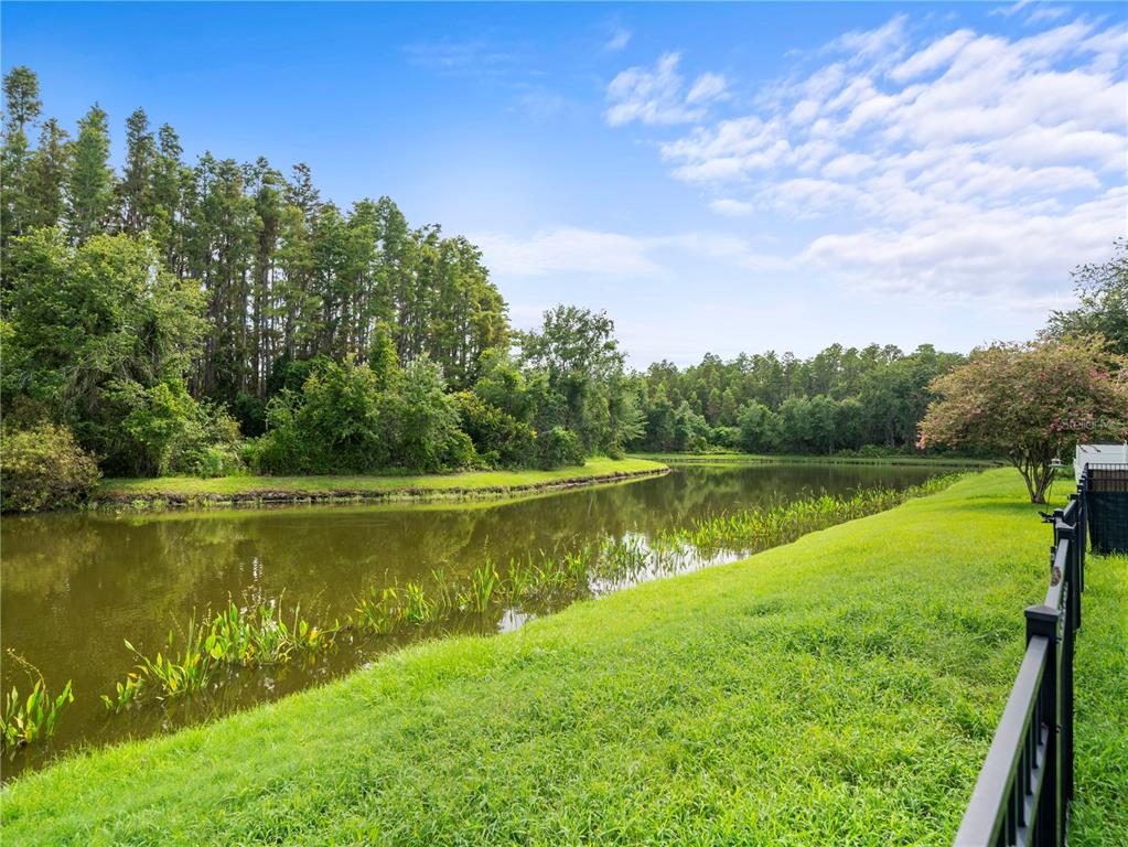 30638 Nickerson Loop Wesley Chapel, FL 33543 - Photo 32 of 39 a view of a lake
