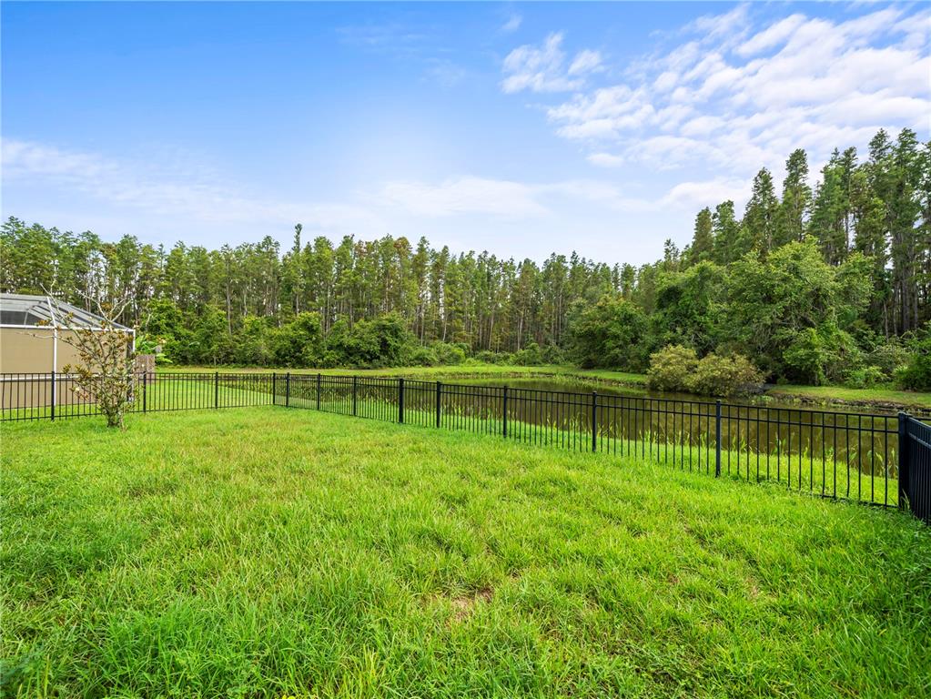 30638 Nickerson Loop Wesley Chapel, FL 33543 - Photo 33 of 39 a view of a lake with a big yard