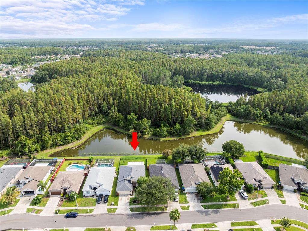 30638 Nickerson Loop Wesley Chapel, FL 33543 - Photo 35 of 39 an aerial view of residential houses with outdoor space and lake view