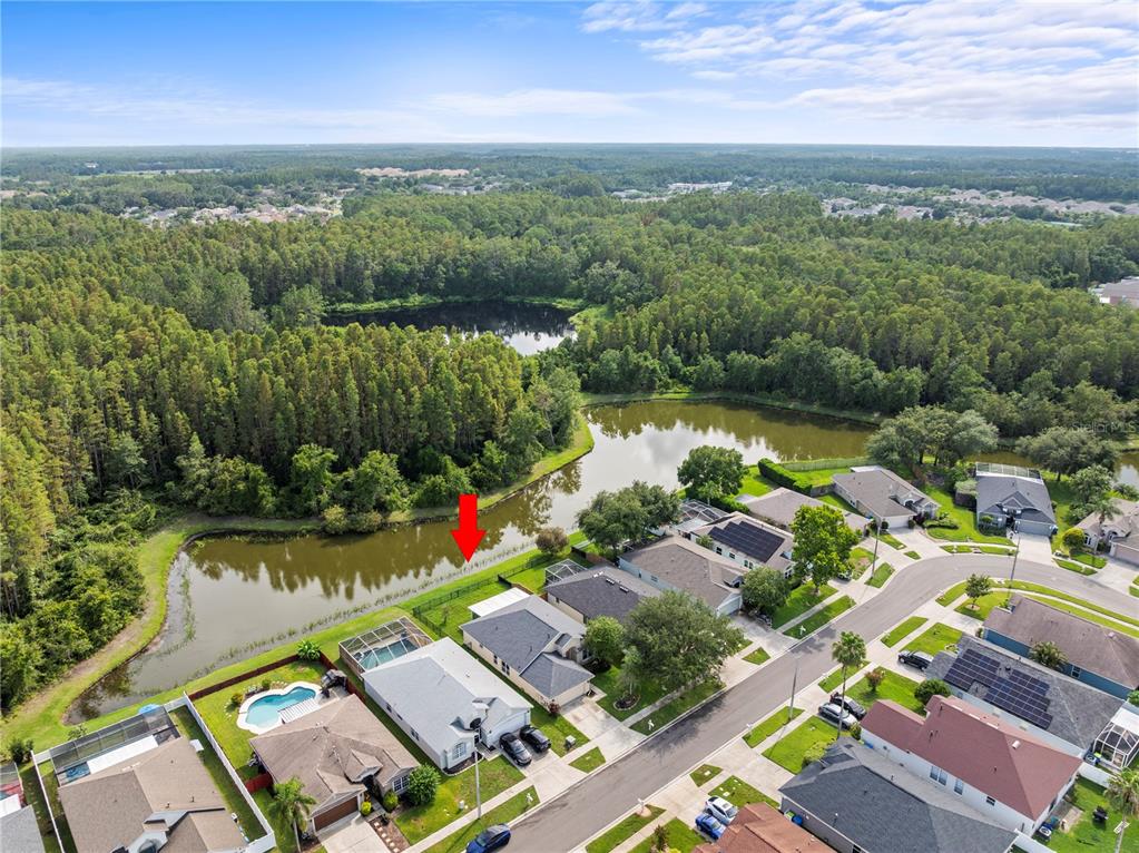 30638 Nickerson Loop Wesley Chapel, FL 33543 - Photo 36 of 39 an aerial view of house with yard swimming pool and outdoor seating