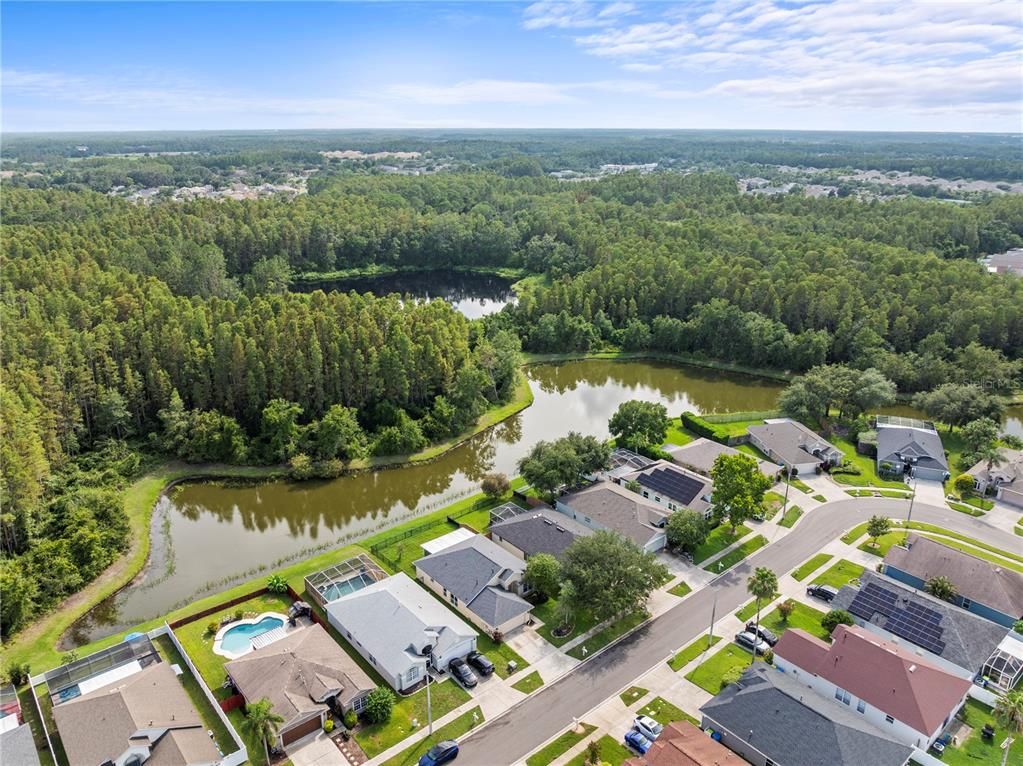 30638 Nickerson Loop Wesley Chapel, FL 33543 - Photo 38 of 39 an aerial view of a houses with a lake view