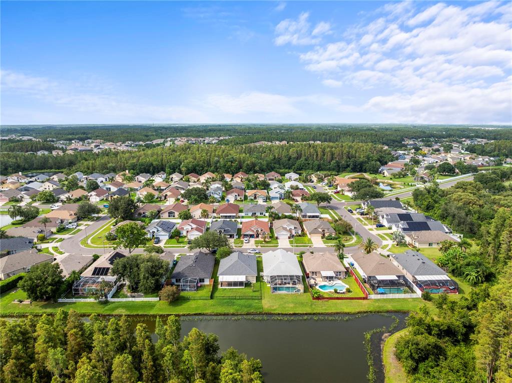 30638 Nickerson Loop Wesley Chapel, FL 33543 - Photo 39 of 39 an aerial view of residential houses with outdoor space and trees