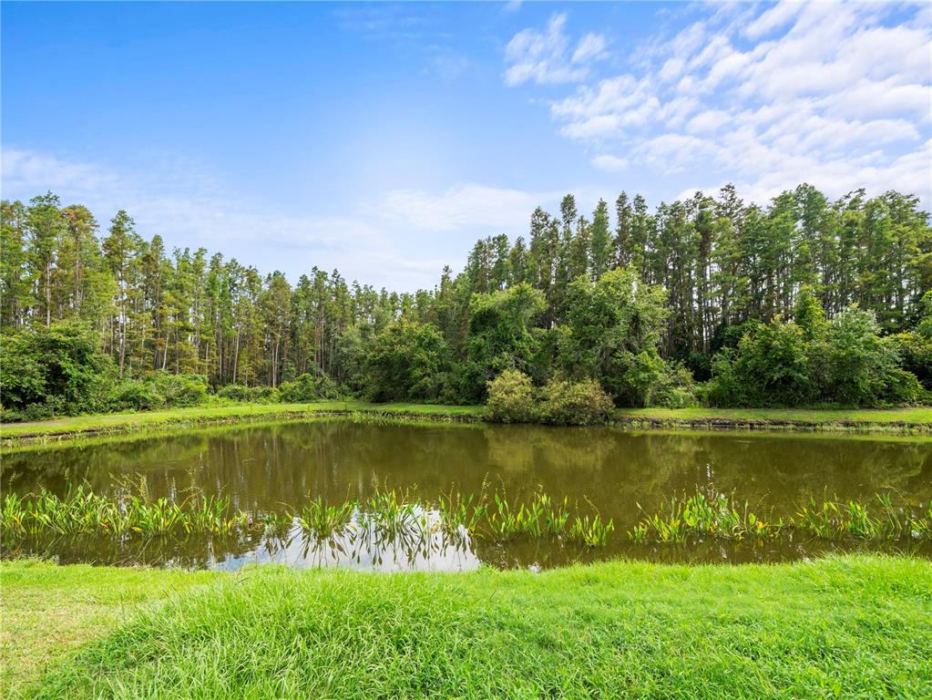 30638 Nickerson Loop Wesley Chapel, FL 33543 - Photo 4 of 39 a view of a lake with houses in the back