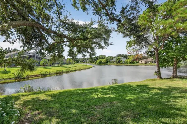 a view of a lake with a big yard and large trees