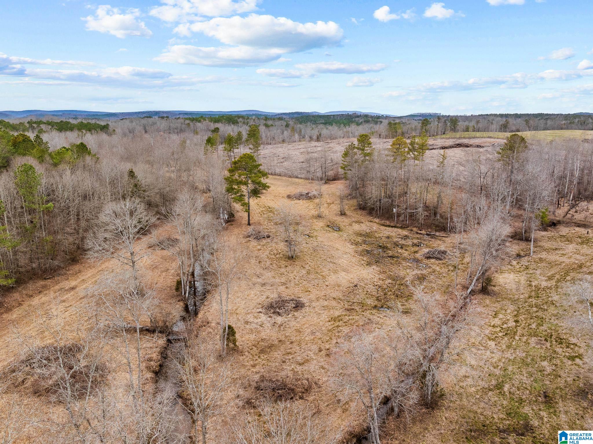 2885 McKay Road Delta, AL 36258 - Photo 45 of 56