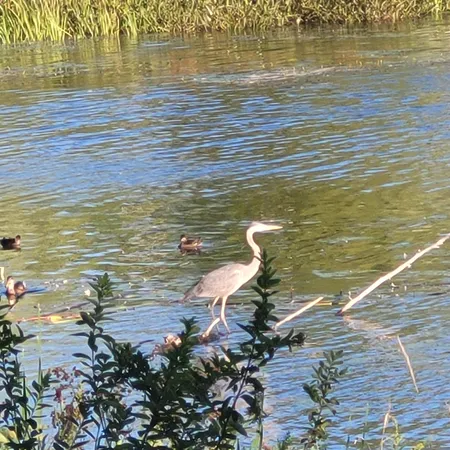 $385,000 | 147 North Main Street, Monmouth, ME 04265