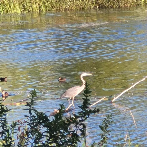 $435,000 | 147 North Main Street, Monmouth, ME 04265