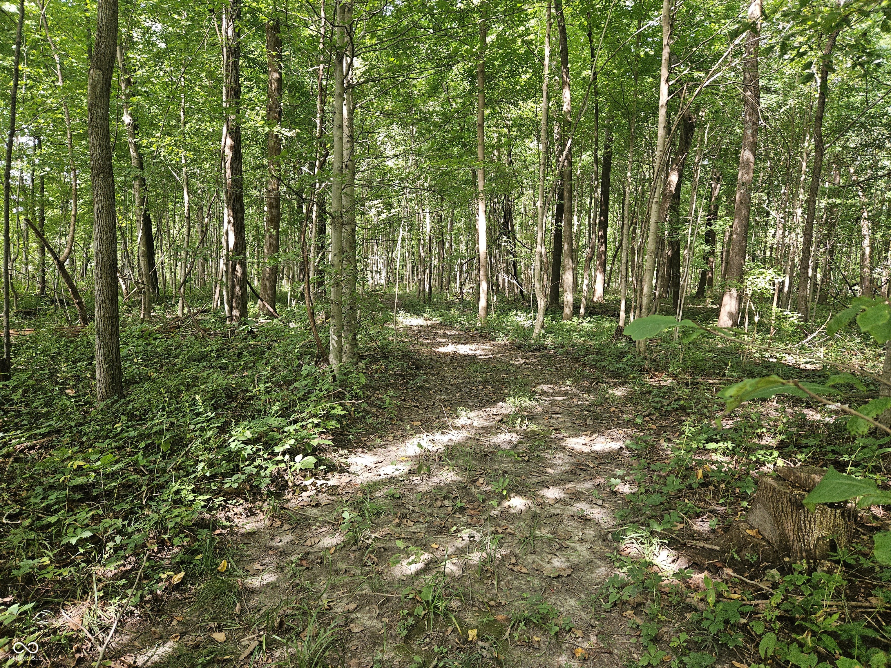 4078 East St Rd 28 Road Tipton, IN 46072 - Photo 3 of 6 Gallery Image 3