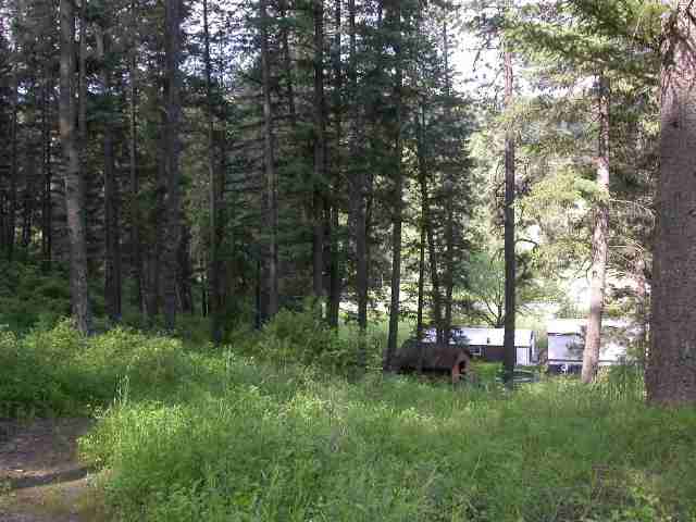 14316 North Forker Road Spokane, WA 99217 - Photo 5 of 9