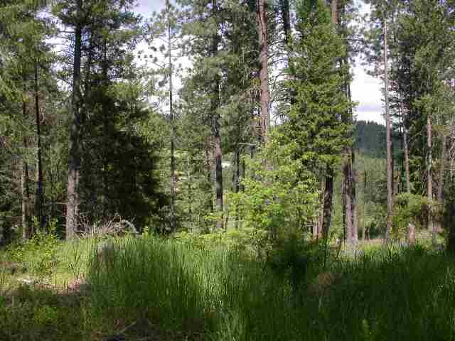 14316 North Forker Road Spokane, WA 99217 - Photo 8 of 9