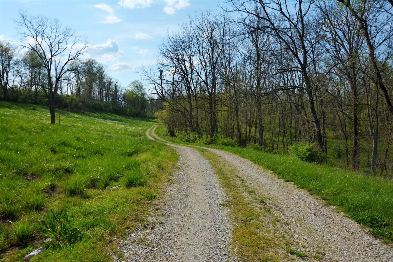 3595 Fords Mill Road Versailles, KY 40383 - Photo 4 of 10 Photo 4