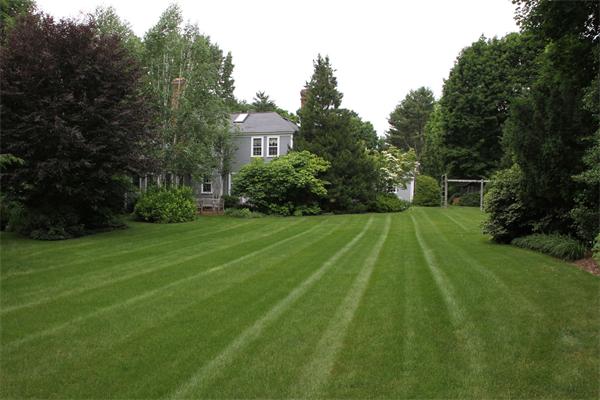 6 Wampatuck Road Dedham, MA 02026 - Photo 3 of 30 a view of a backyard