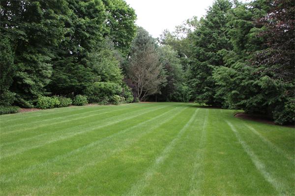 6 Wampatuck Road Dedham, MA 02026 - Photo 4 of 30 a view of a grassy field with trees