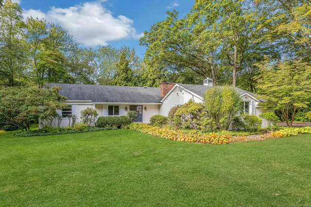 a view of a house with a big yard potted plants and large tree