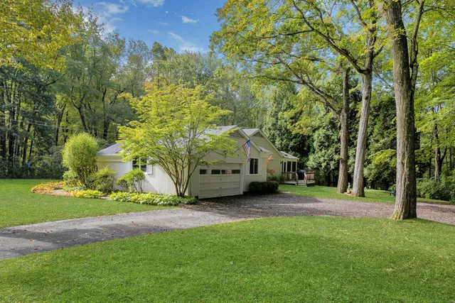 a view of a yard with plants and trees