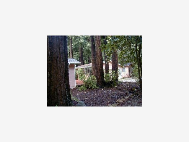 183 Sequoia Road Boulder Creek, CA 95006 - Photo 9 of 9 Gallery Image 9