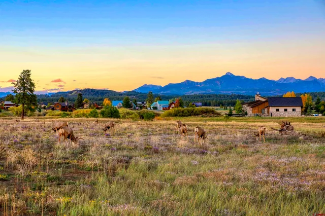 $1,500,000 | 425-and X Lakeside Drive, Pagosa Springs, CO 81147
