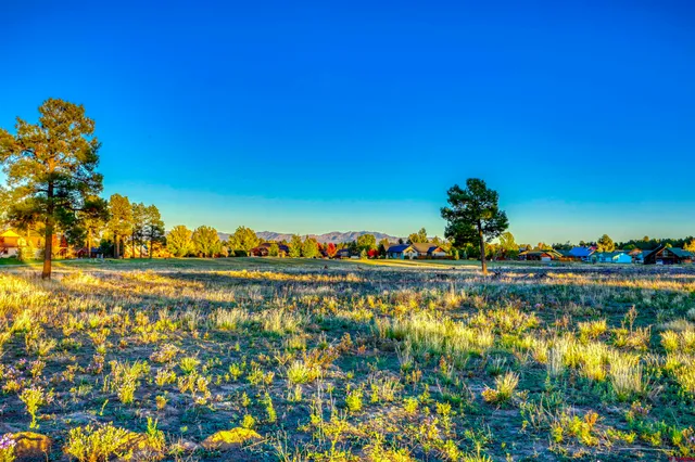 $1,500,000 | 425-and X Lakeside Drive, Pagosa Springs, CO 81147