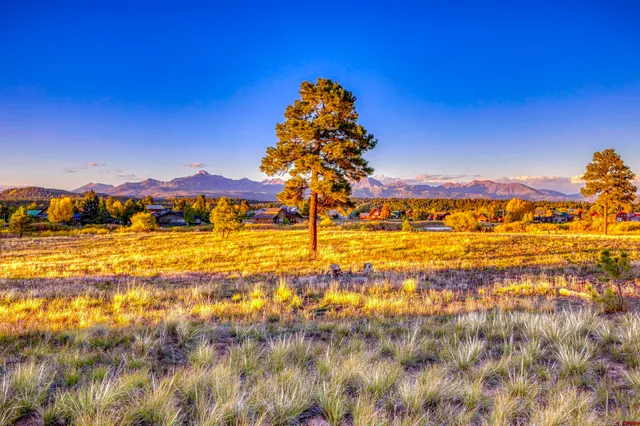 $1,500,000 | 425-and X Lakeside Drive, Pagosa Springs, CO 81147