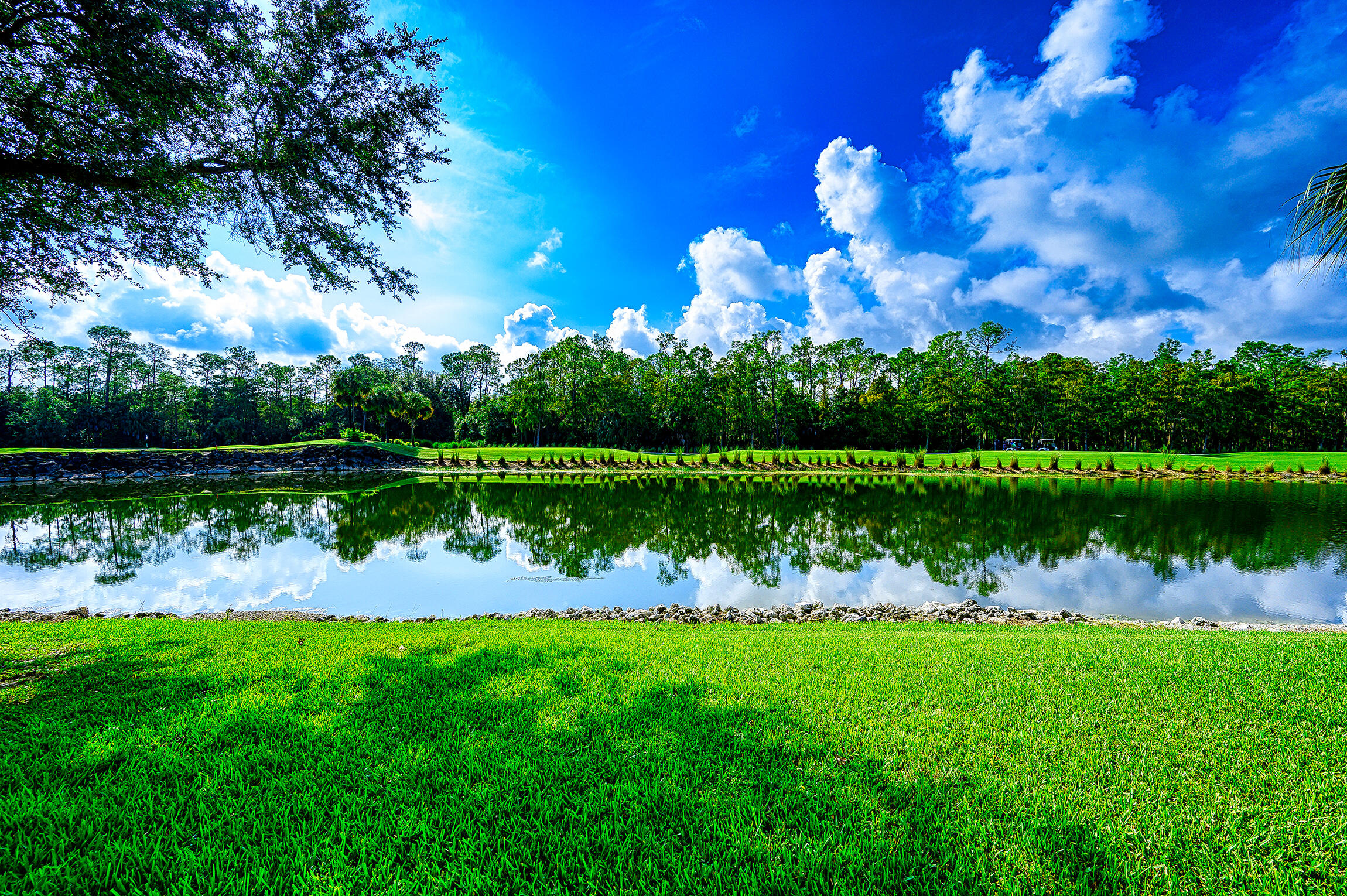 8660 Cedar Hammock Circle, Unit 314 Naples, FL 34112 - Photo 13 of 31 a view of a lake and green space